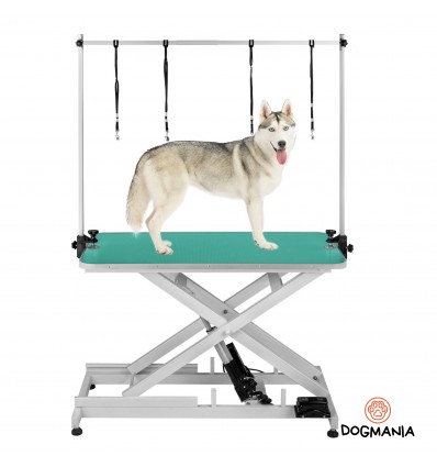 Table de toilettage professionnelle électrique  117CM*61CM ( 23CM - 101CM )-Table de toilettage-Dogmania